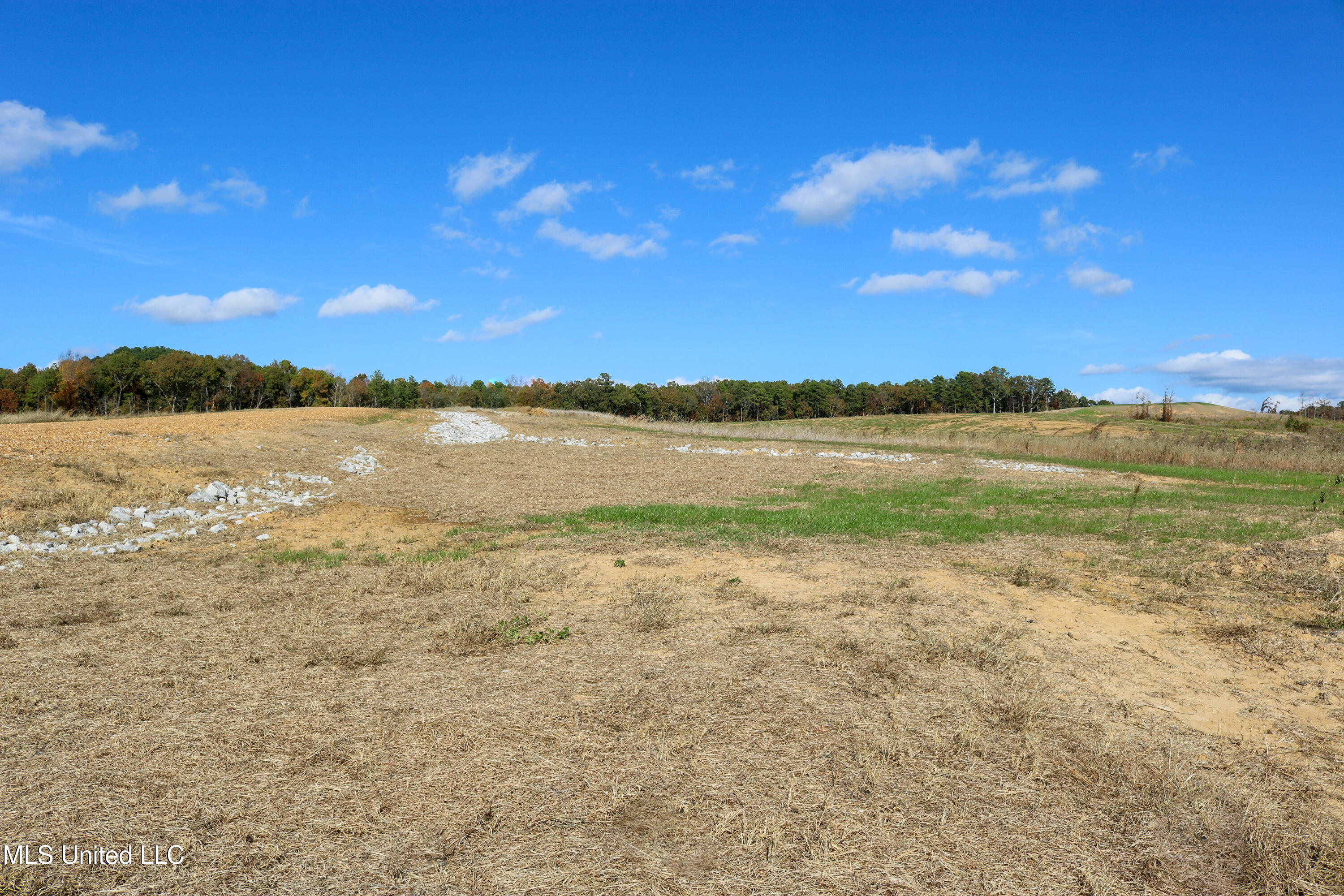 Tract 8 Hugh White State Park Road Property Photo 3