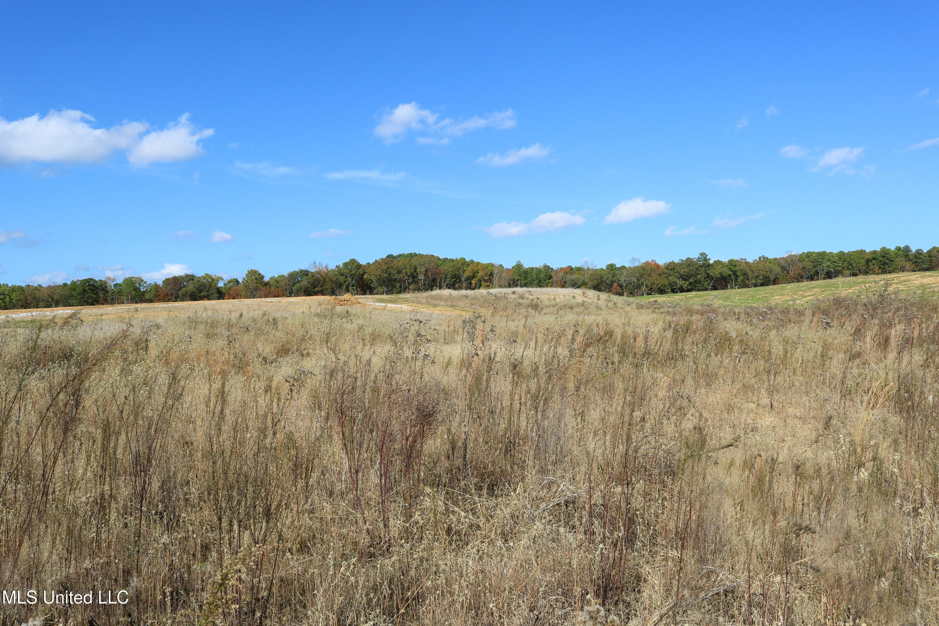 Tract 8 Hugh White State Park Road Property Photo 4