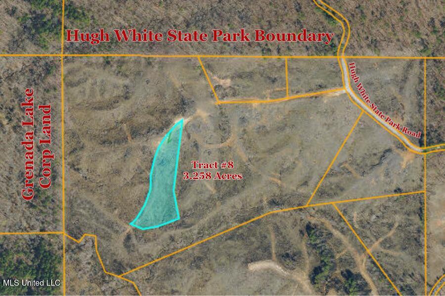 Tract 8 Hugh White State Park Road Property Photo 5
