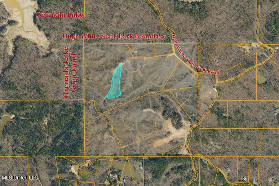 Tract 8 Hugh White State Park Road Property Photo 6