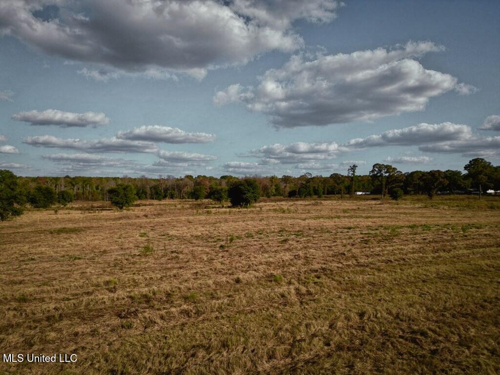 Spruce Street Property Photo 4