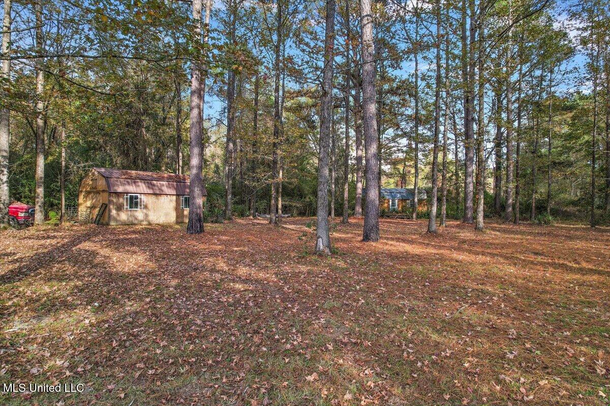 866 Old River Road Property Photo 26