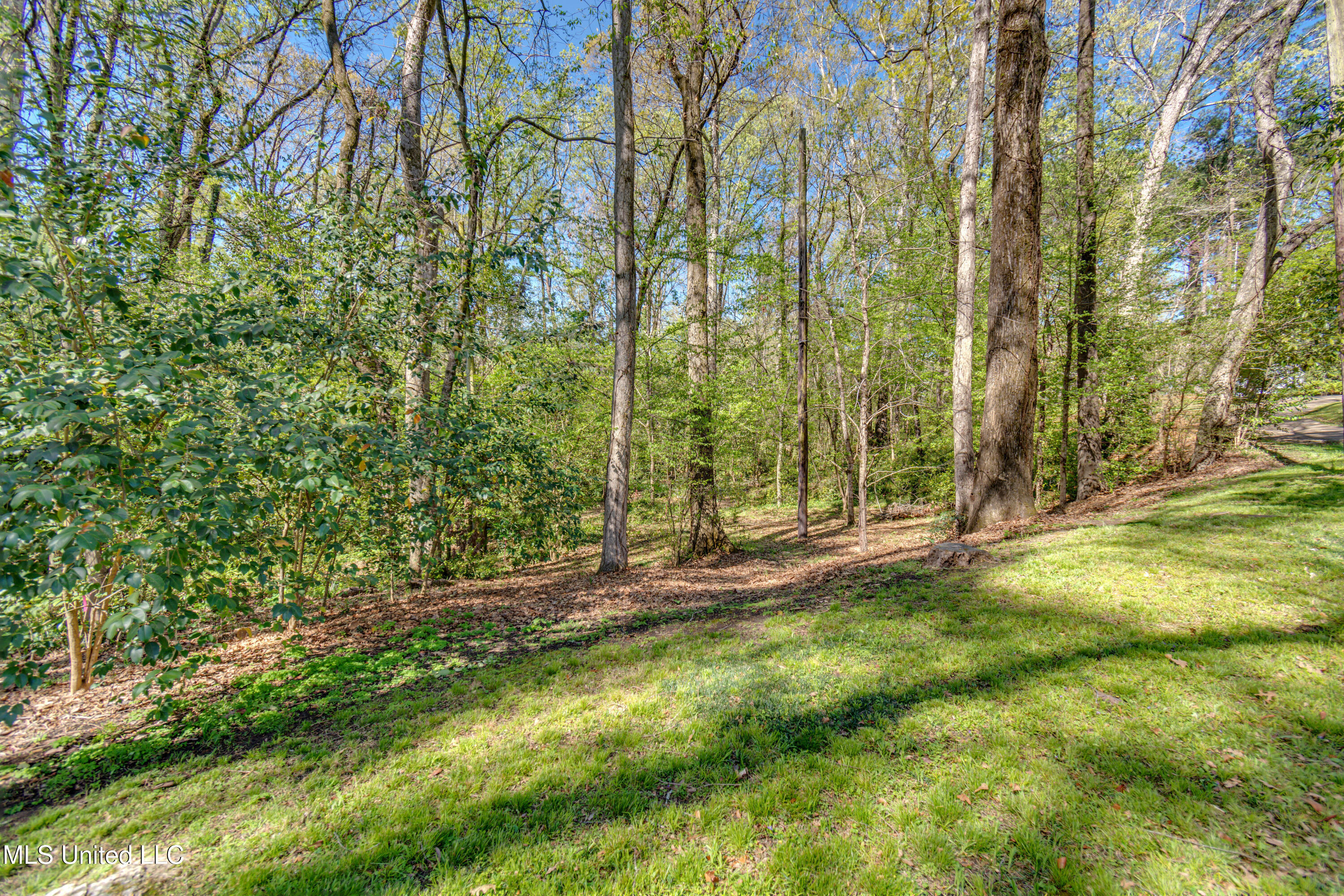 200 Ridge Drive Property Photo 5