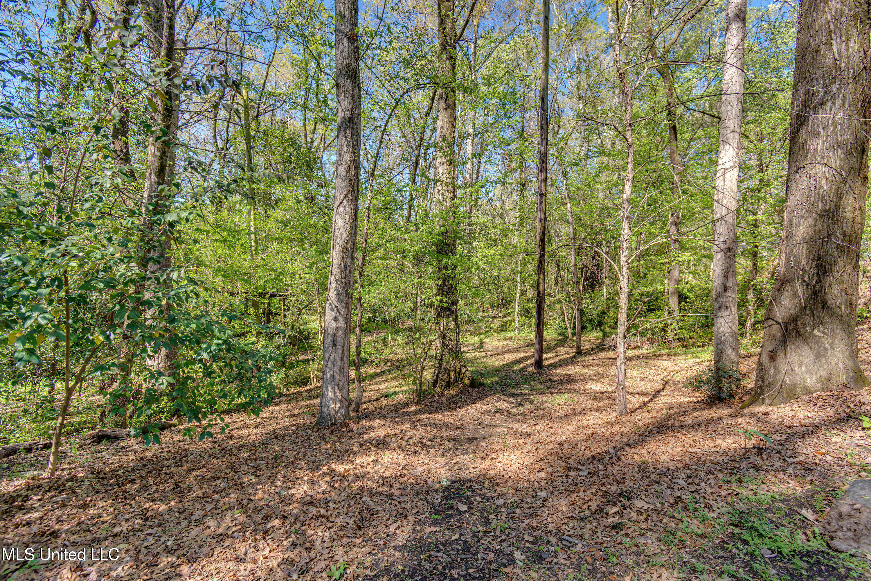 200 Ridge Drive Property Photo 6