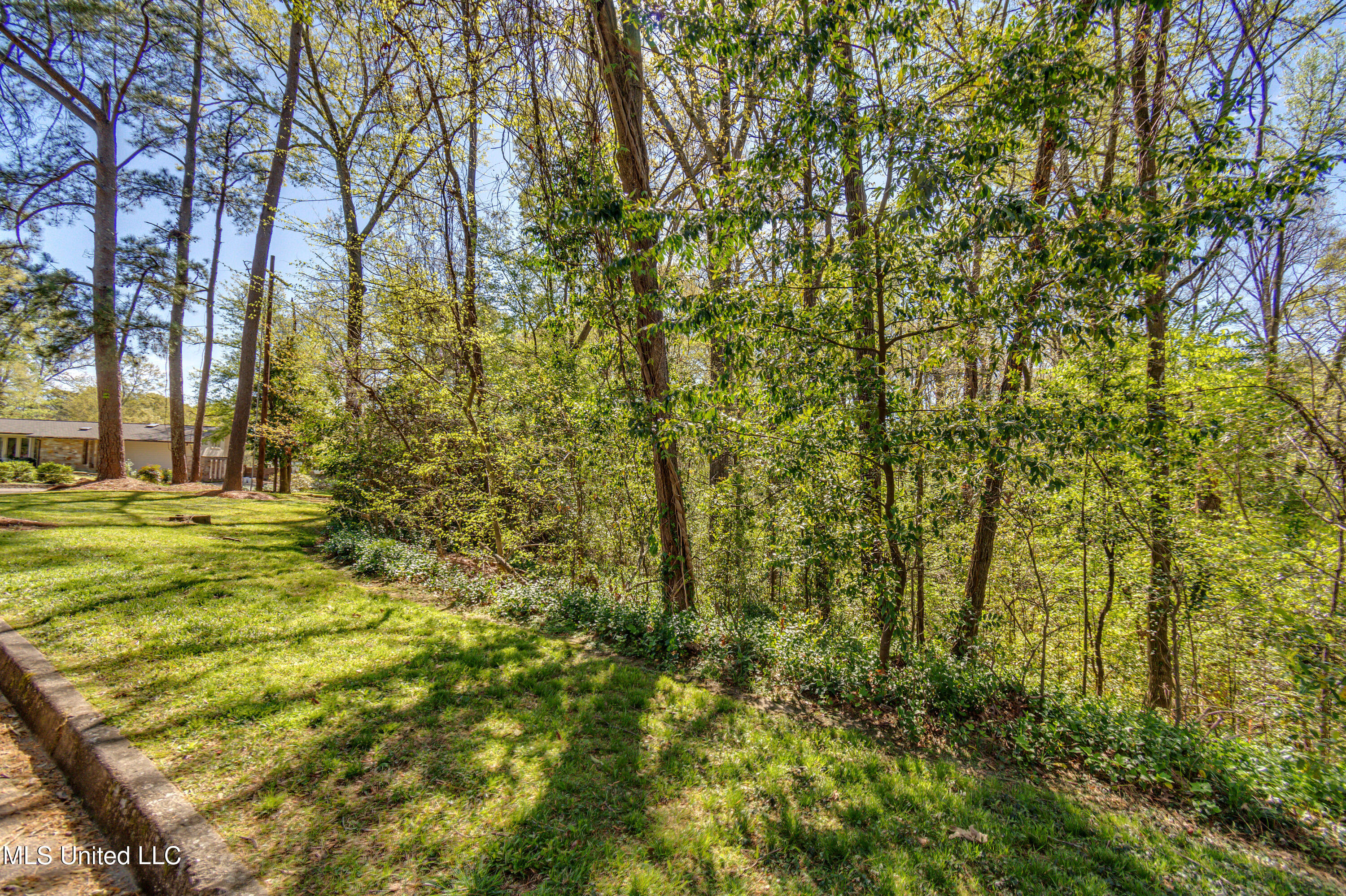 200 Ridge Drive Property Photo 8