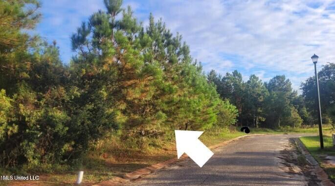 Lot 30 Pelican Cove Lane Property Photo 6