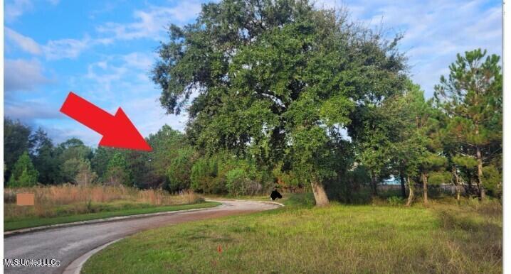Lot 30 Pelican Cove Lane Property Photo 7