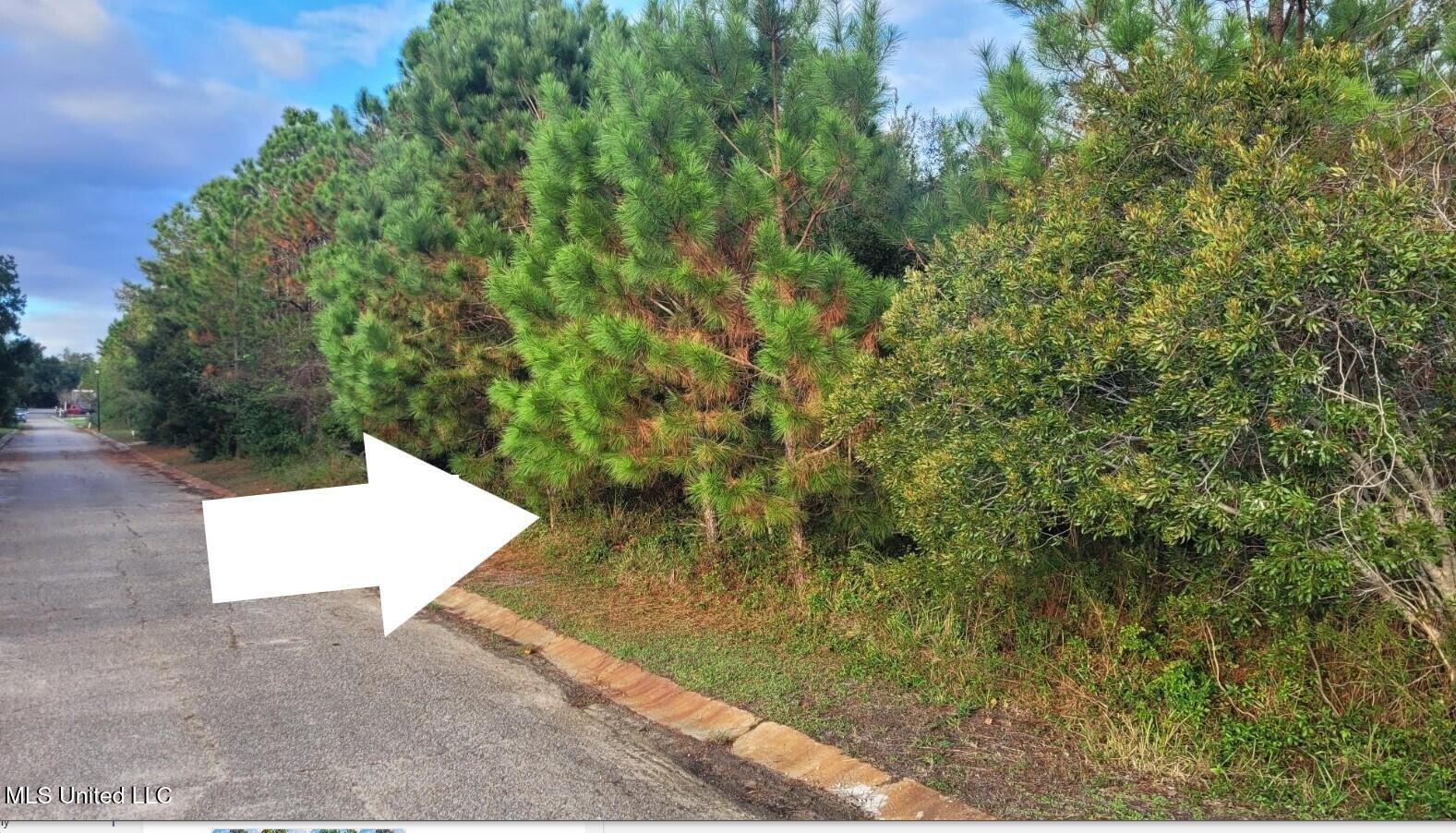 Lot 30 Pelican Cove Lane Property Photo 8
