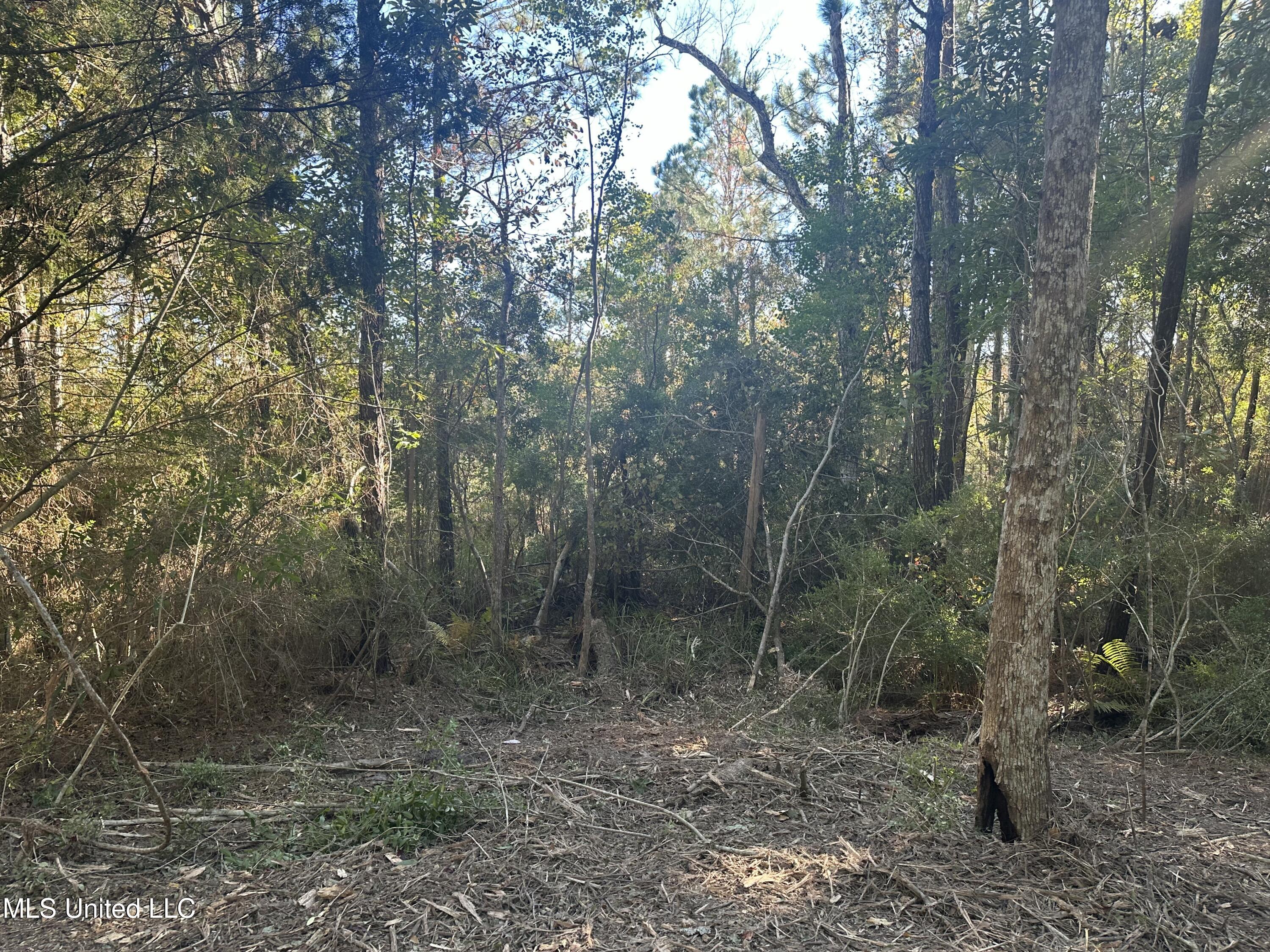 East Street Property Photo 6