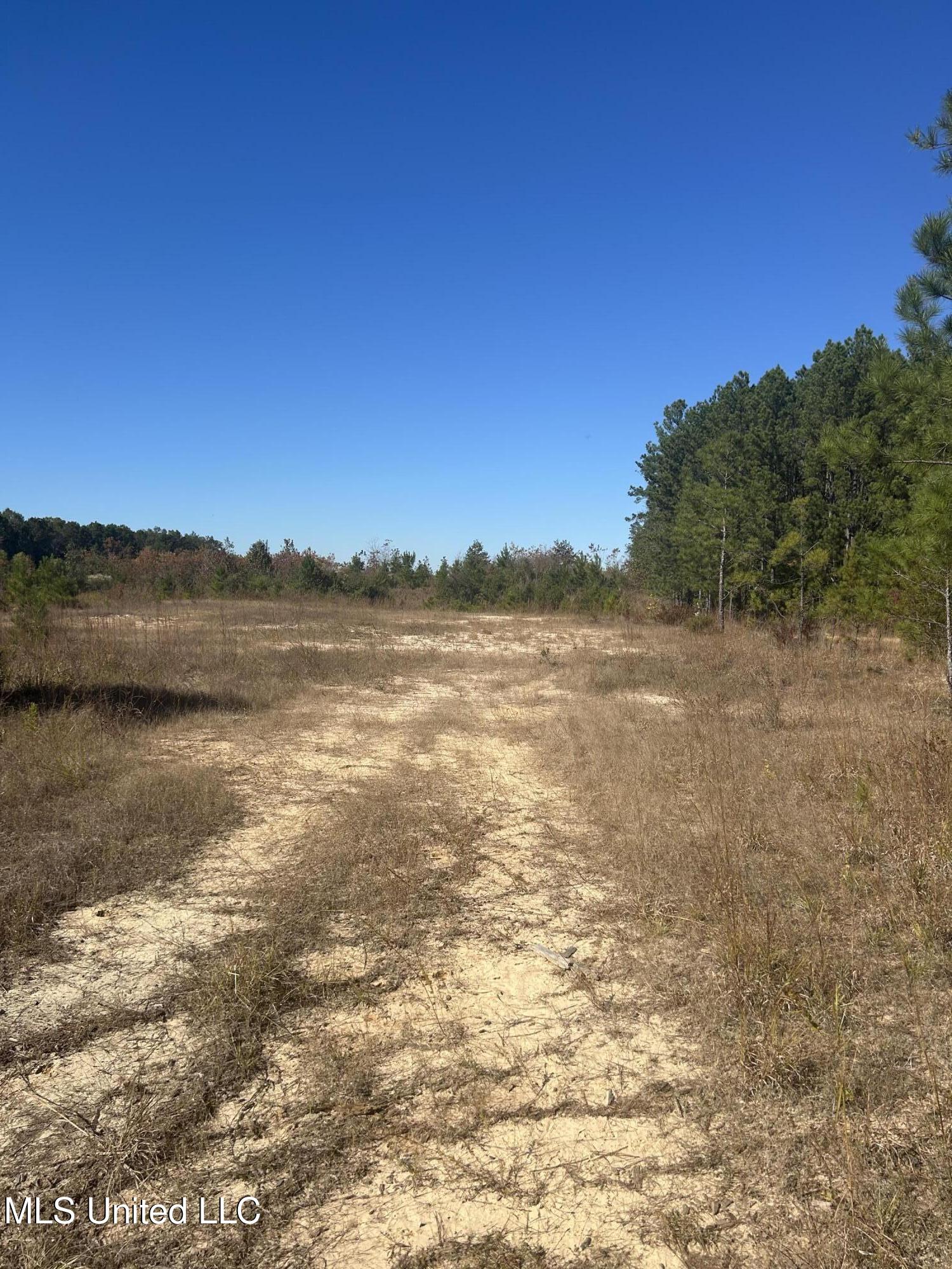 Tbd N Highway 80 Property Photo 2