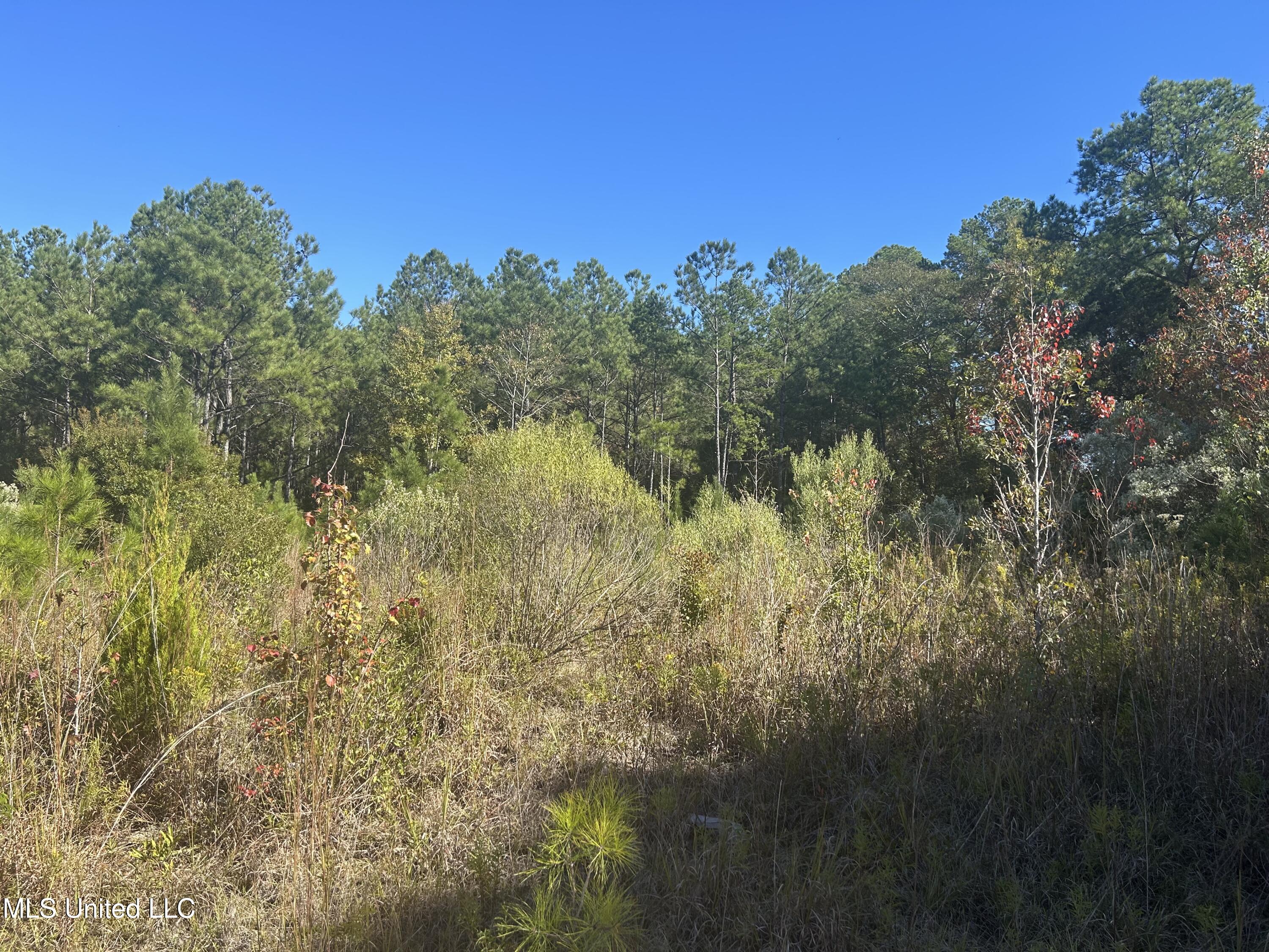 Tbd N Highway 80 Property Photo 3