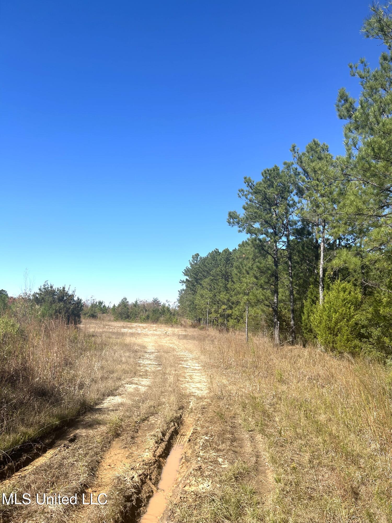 Tbd N Highway 80 Property Photo 4