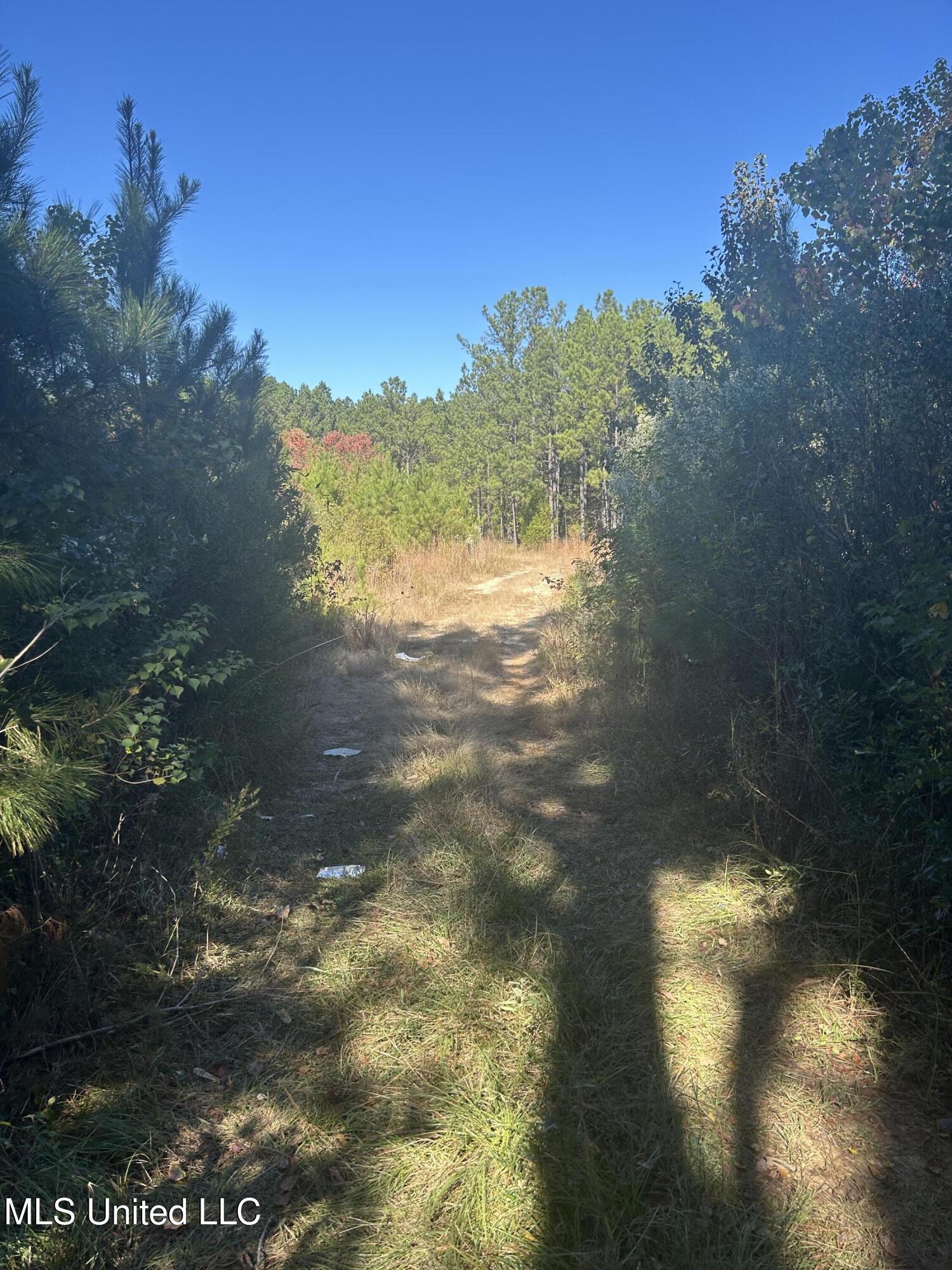 Tbd N Highway 80 Property Photo 5