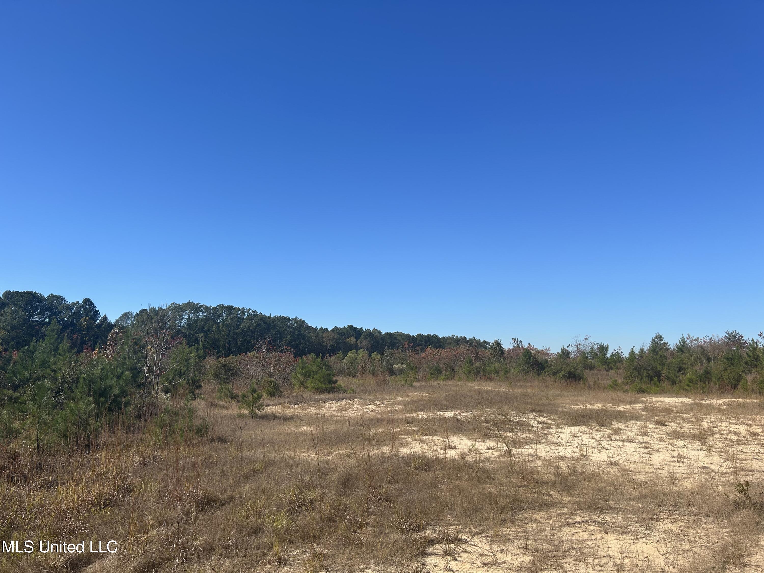 Tbd N Highway 80 Property Photo 7