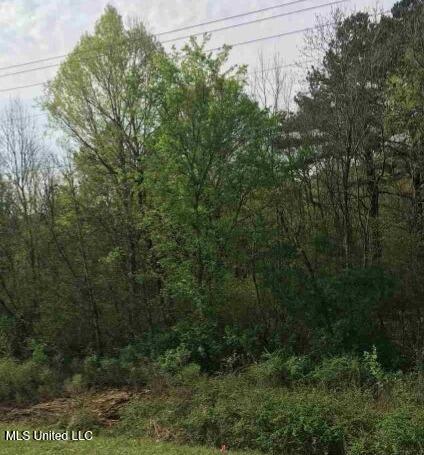 0 Highway 80 Property Photo 1