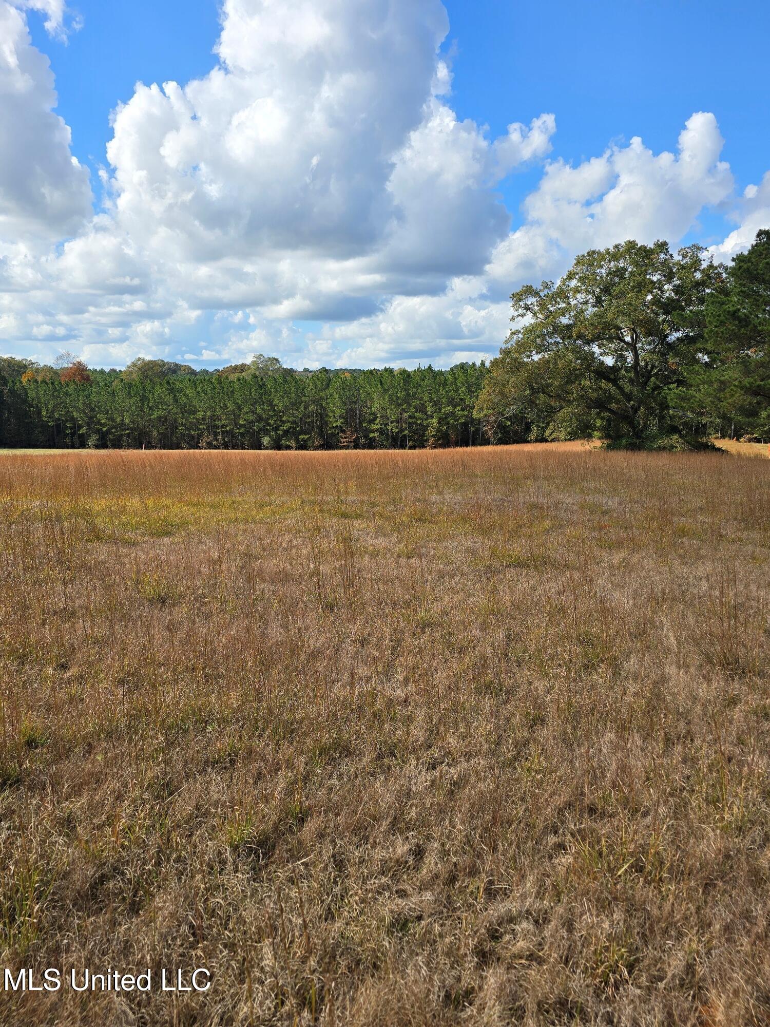Hwy 13 Property Photo 2