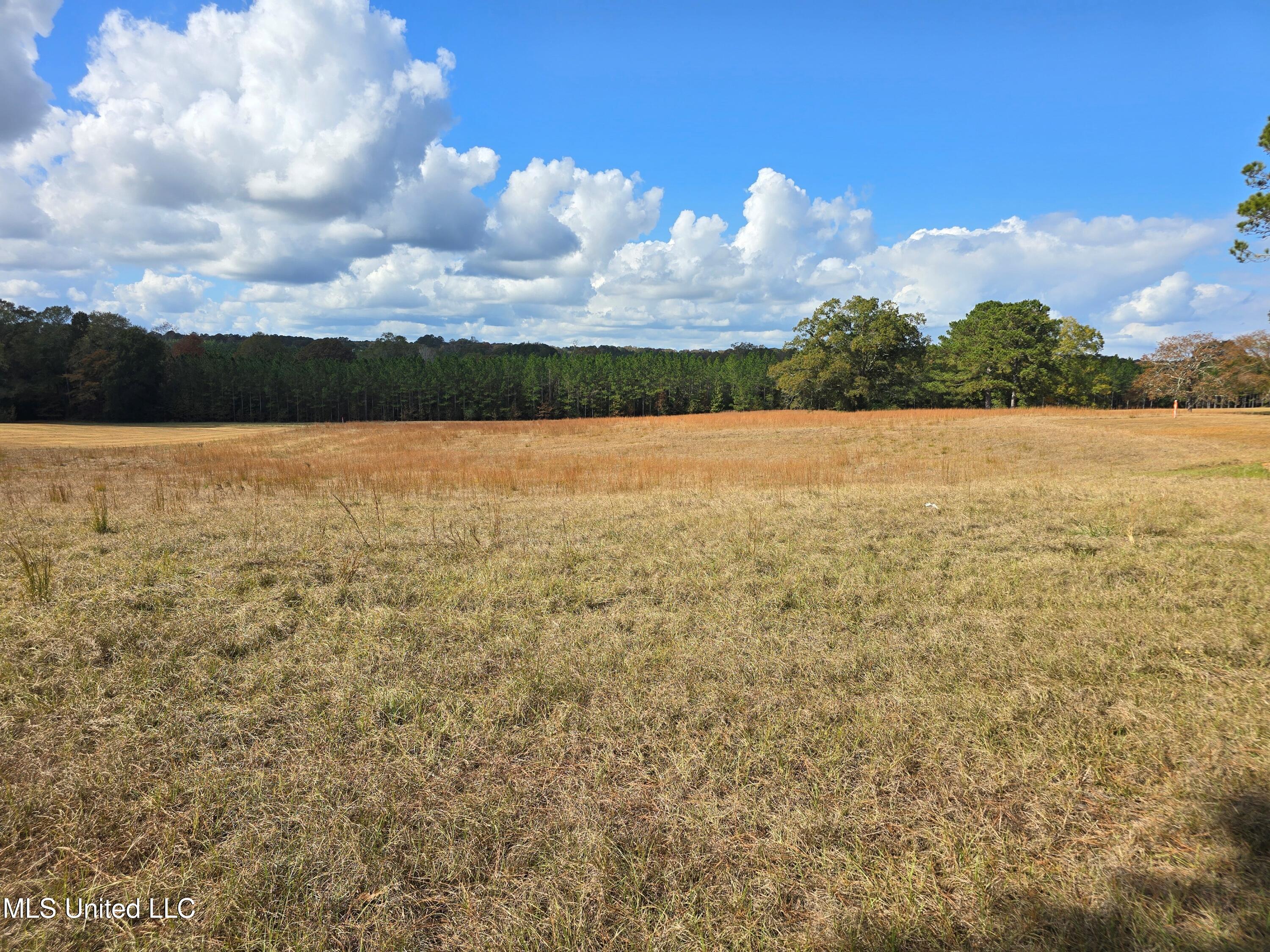 Hwy 13 Property Photo 5
