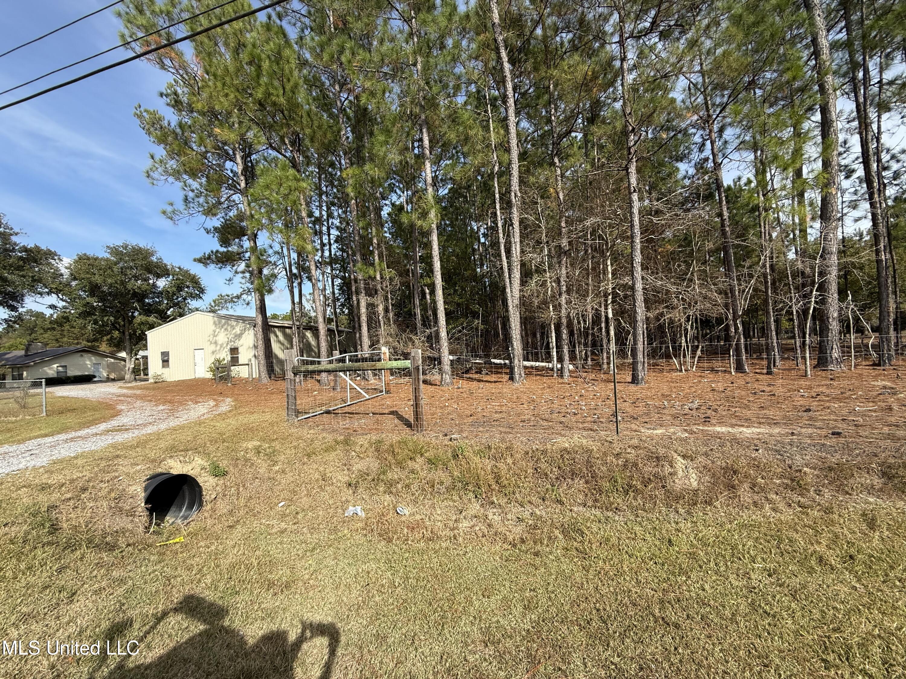 21480 Highway 603 Property Photo 5