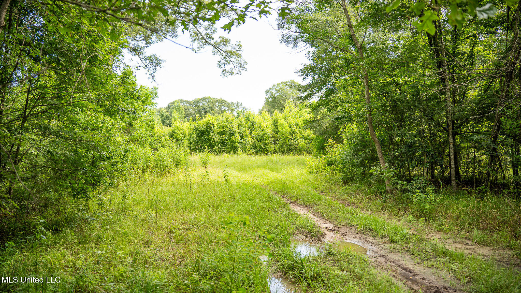 403 Mount Pleasant Road Property Photo 18