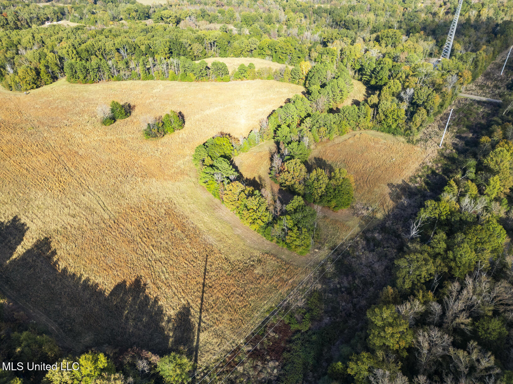 Catlett Road Property Photo 8