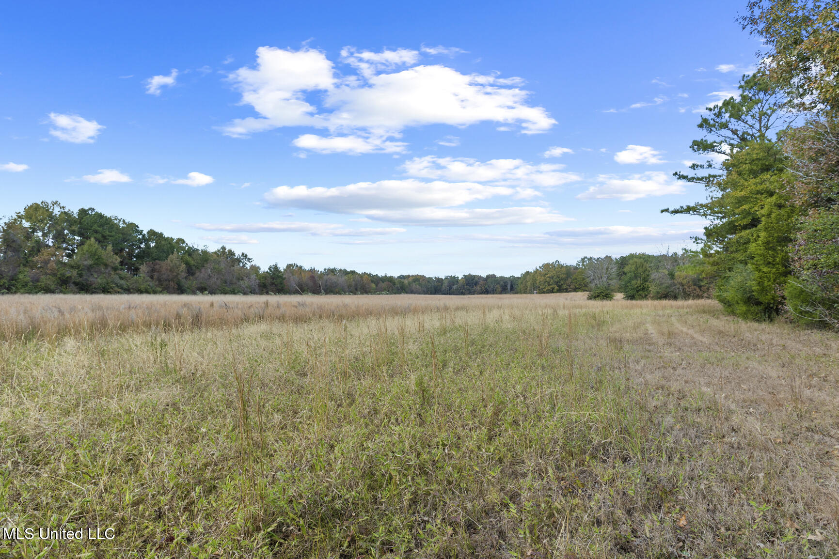Catlett Road Property Photo 21