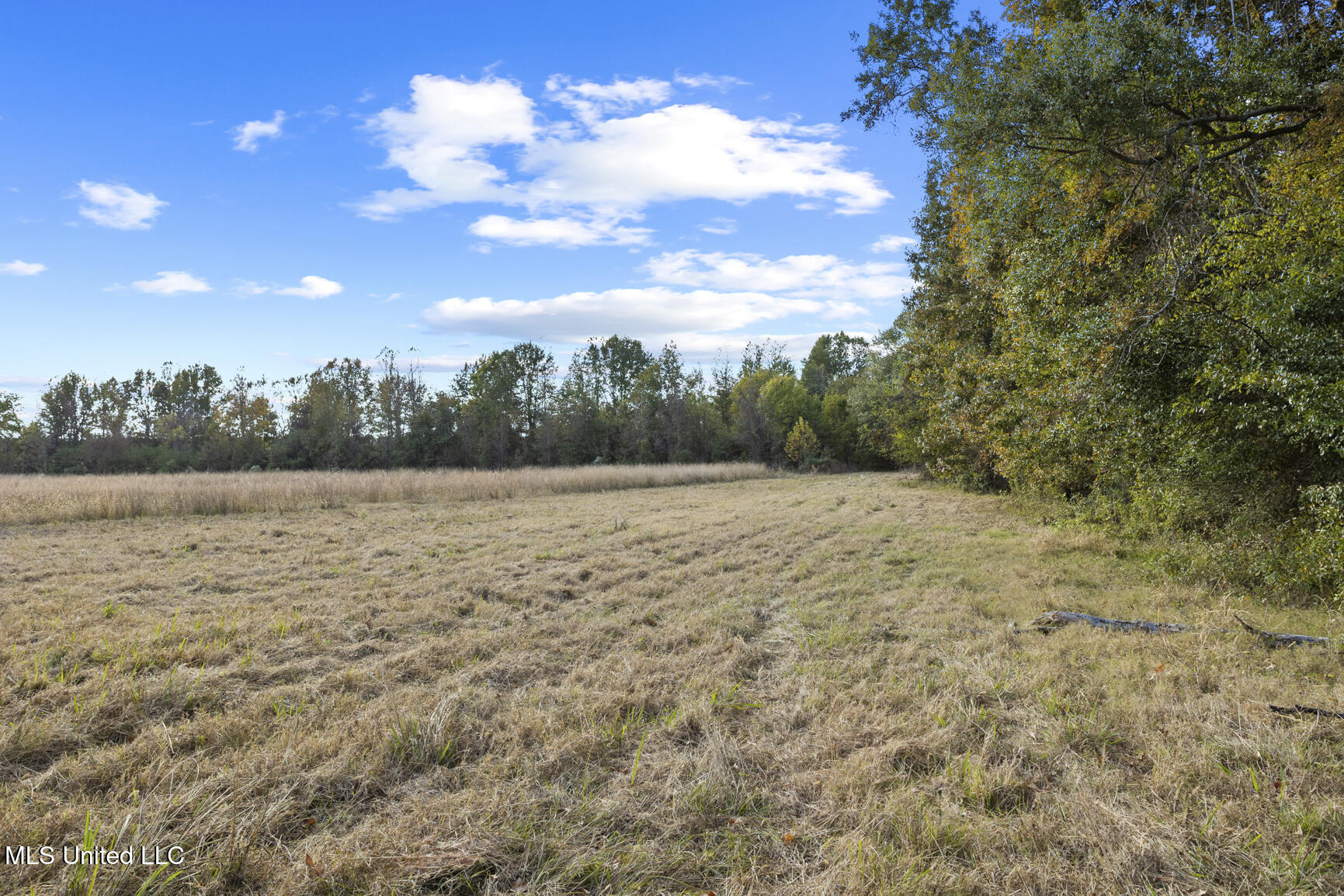 Catlett Road Property Photo 22