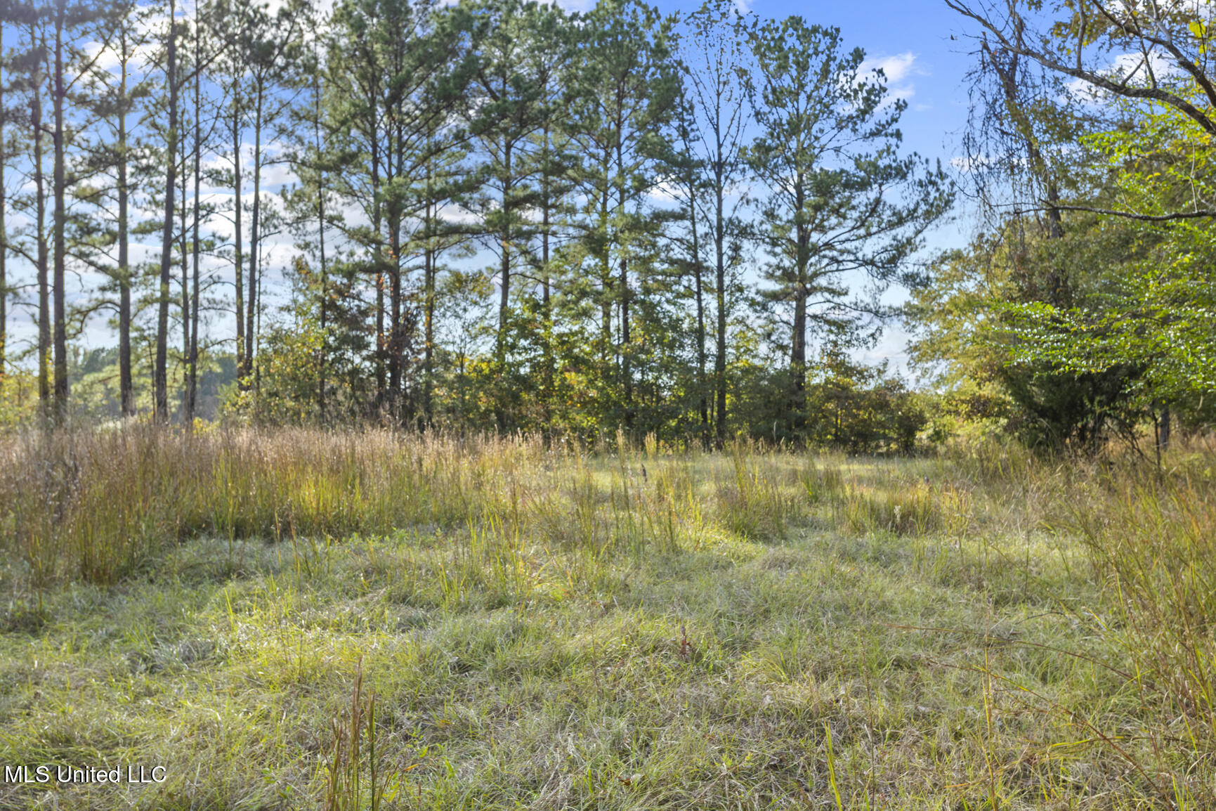 Catlett Road Property Photo 23
