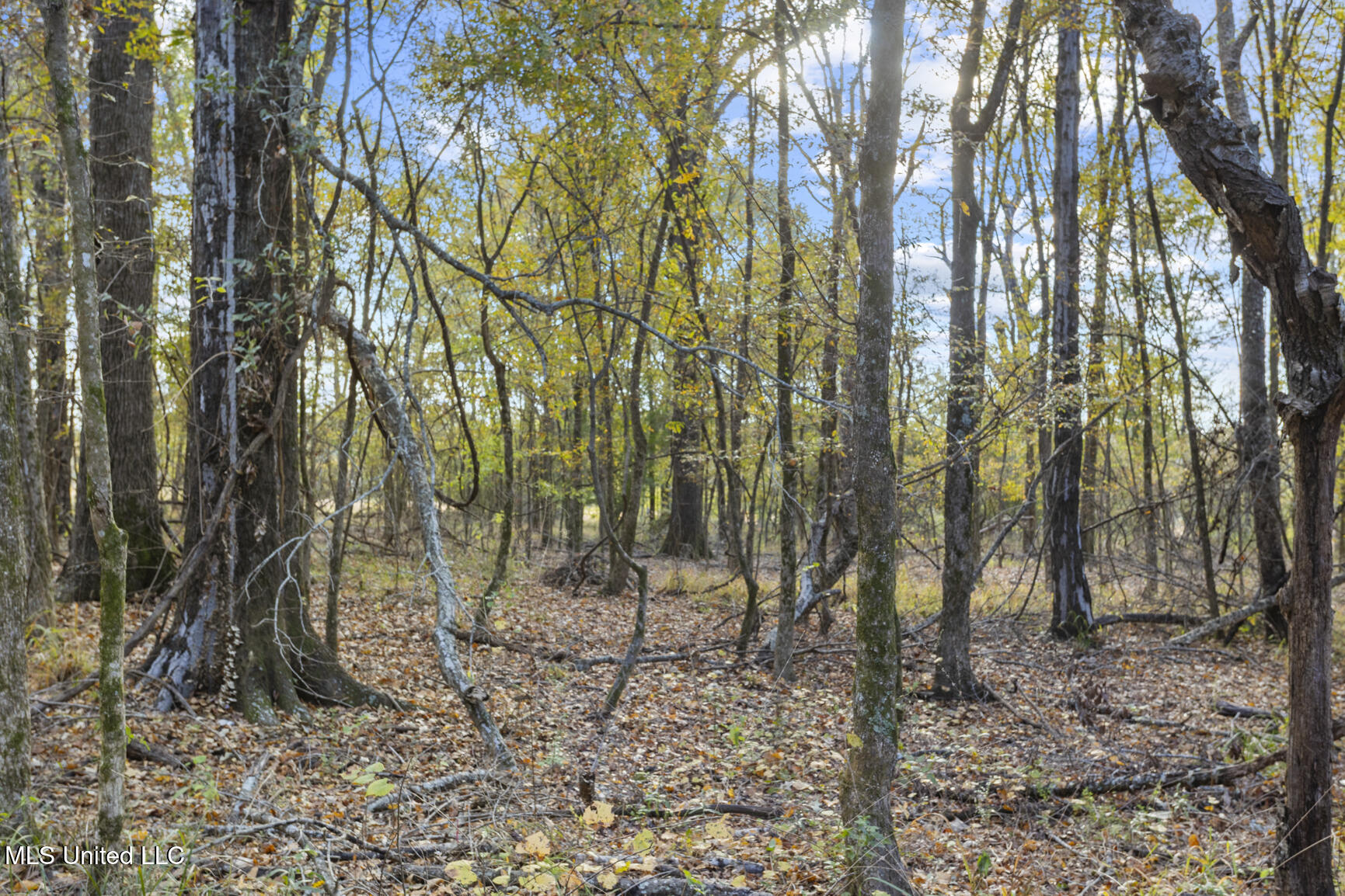 Catlett Road Property Photo 26