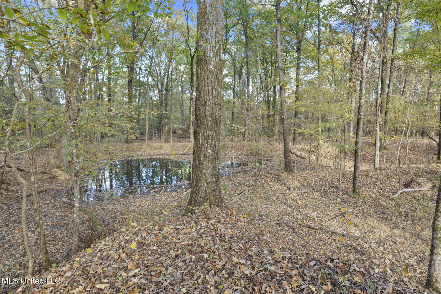 Catlett Road Property Photo 27