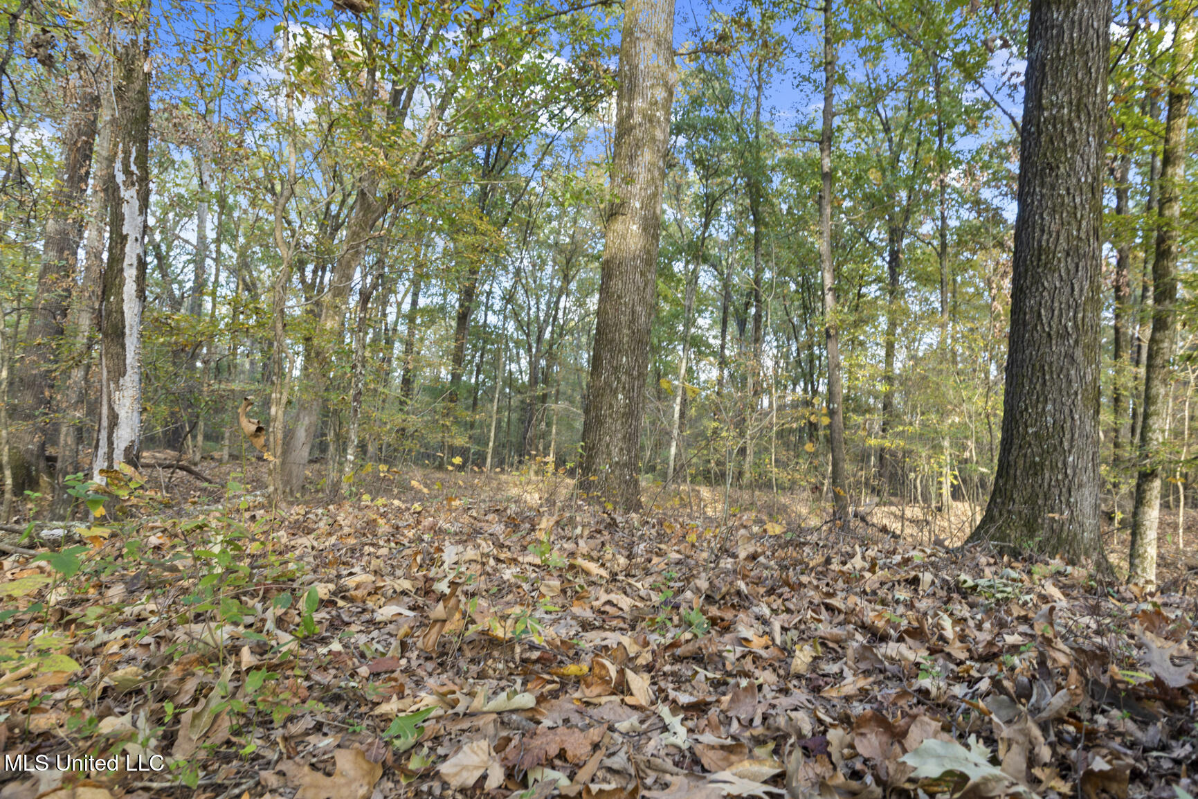 Catlett Road Property Photo 28