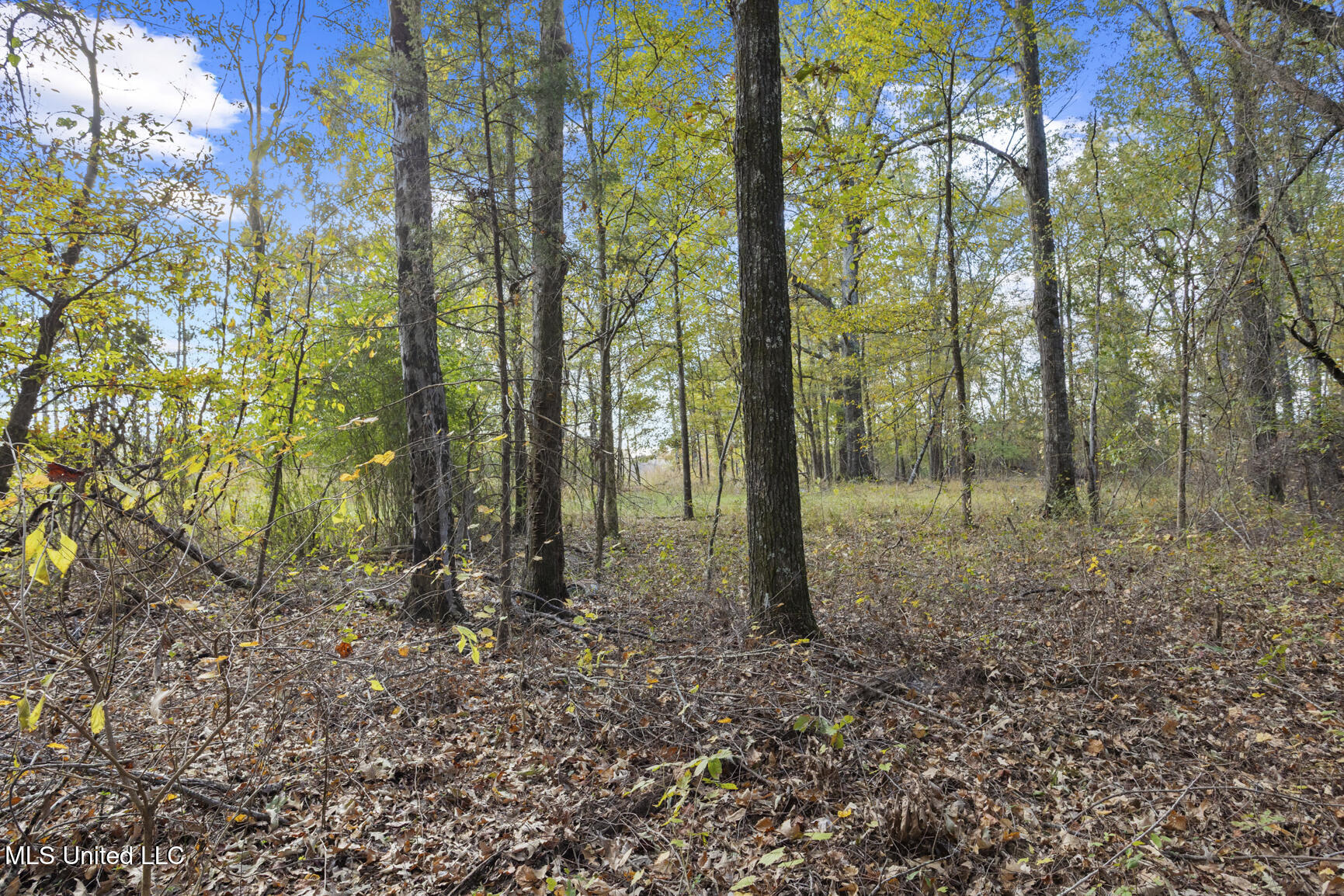 Catlett Road Property Photo 29