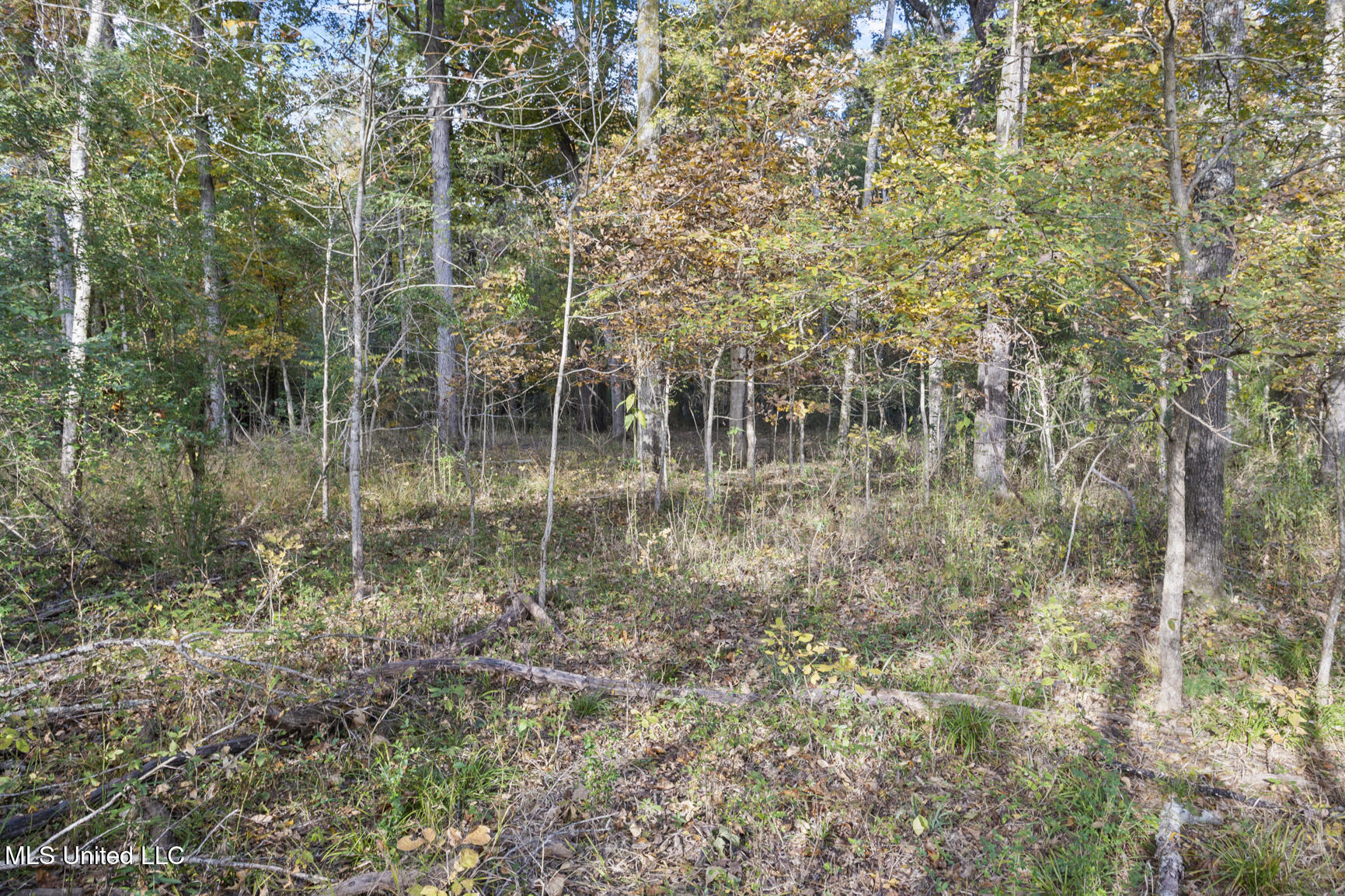 Catlett Road Property Photo 30