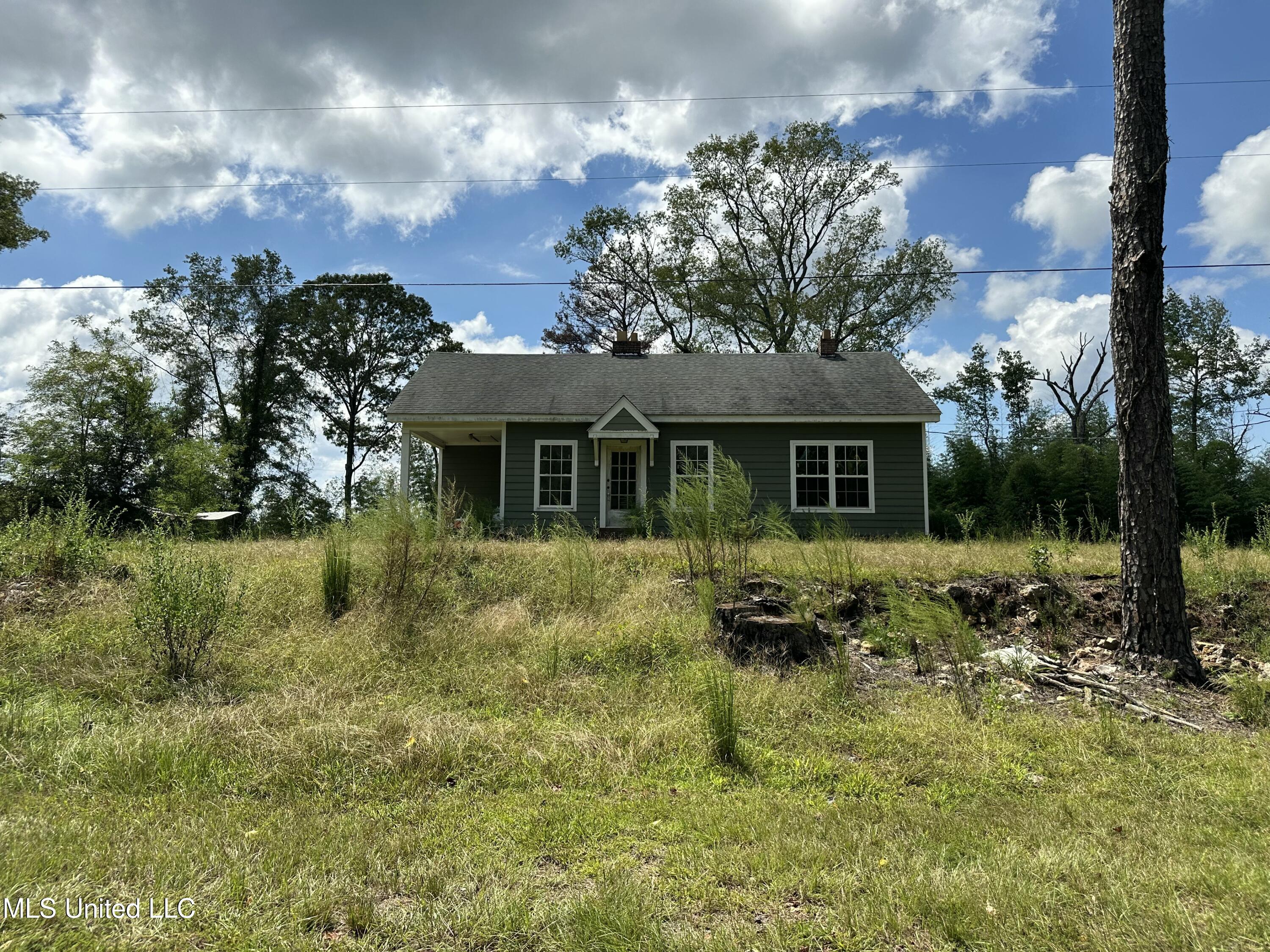 4393 County Road 470 Property Photo 1