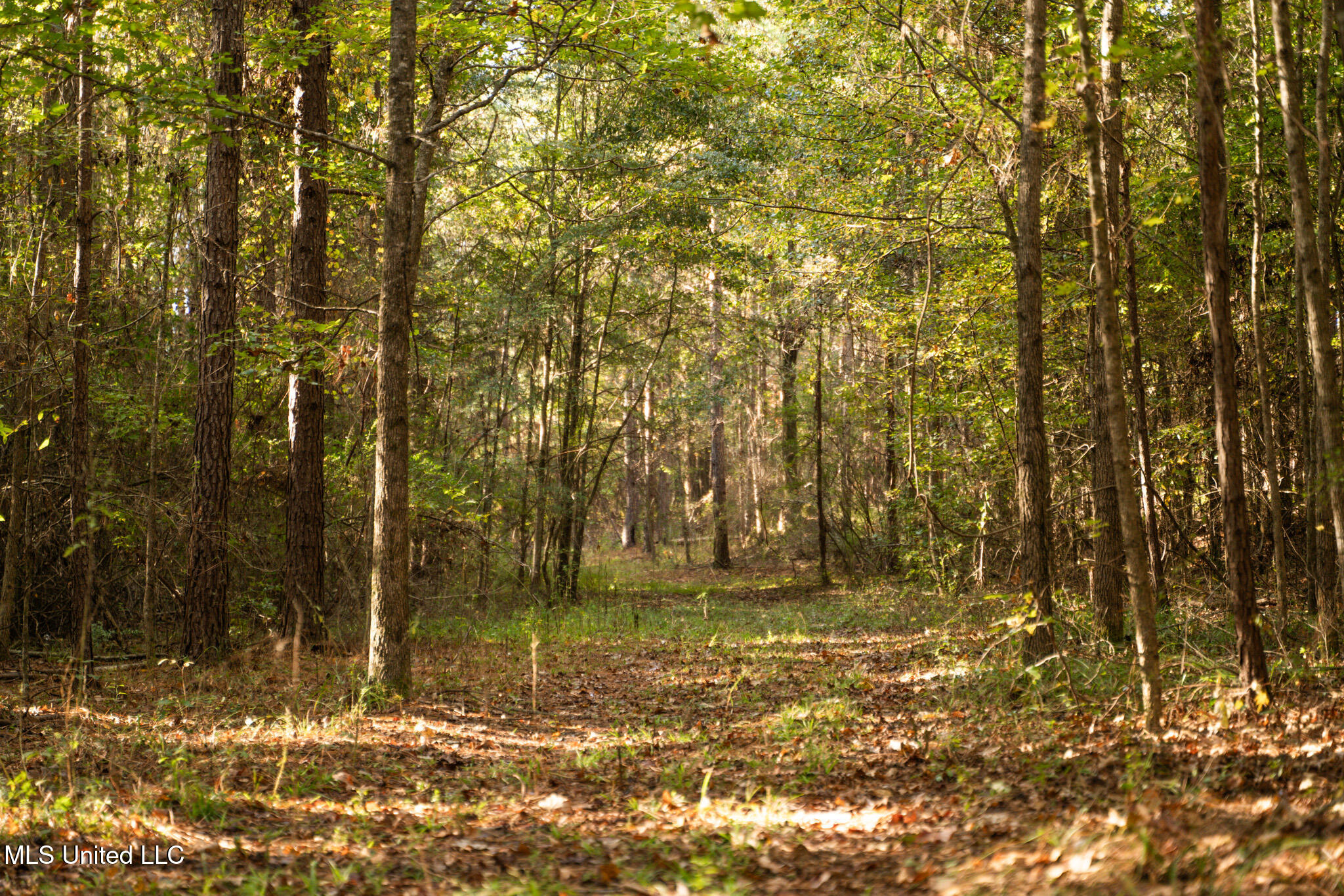 Lake View Golf Course Road Property Photo 1