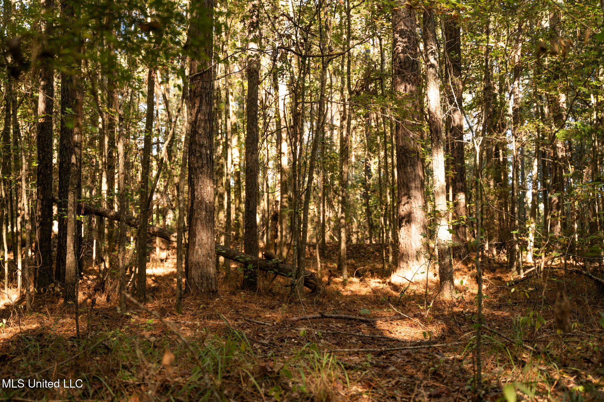 Lake View Golf Course Road Property Photo 8