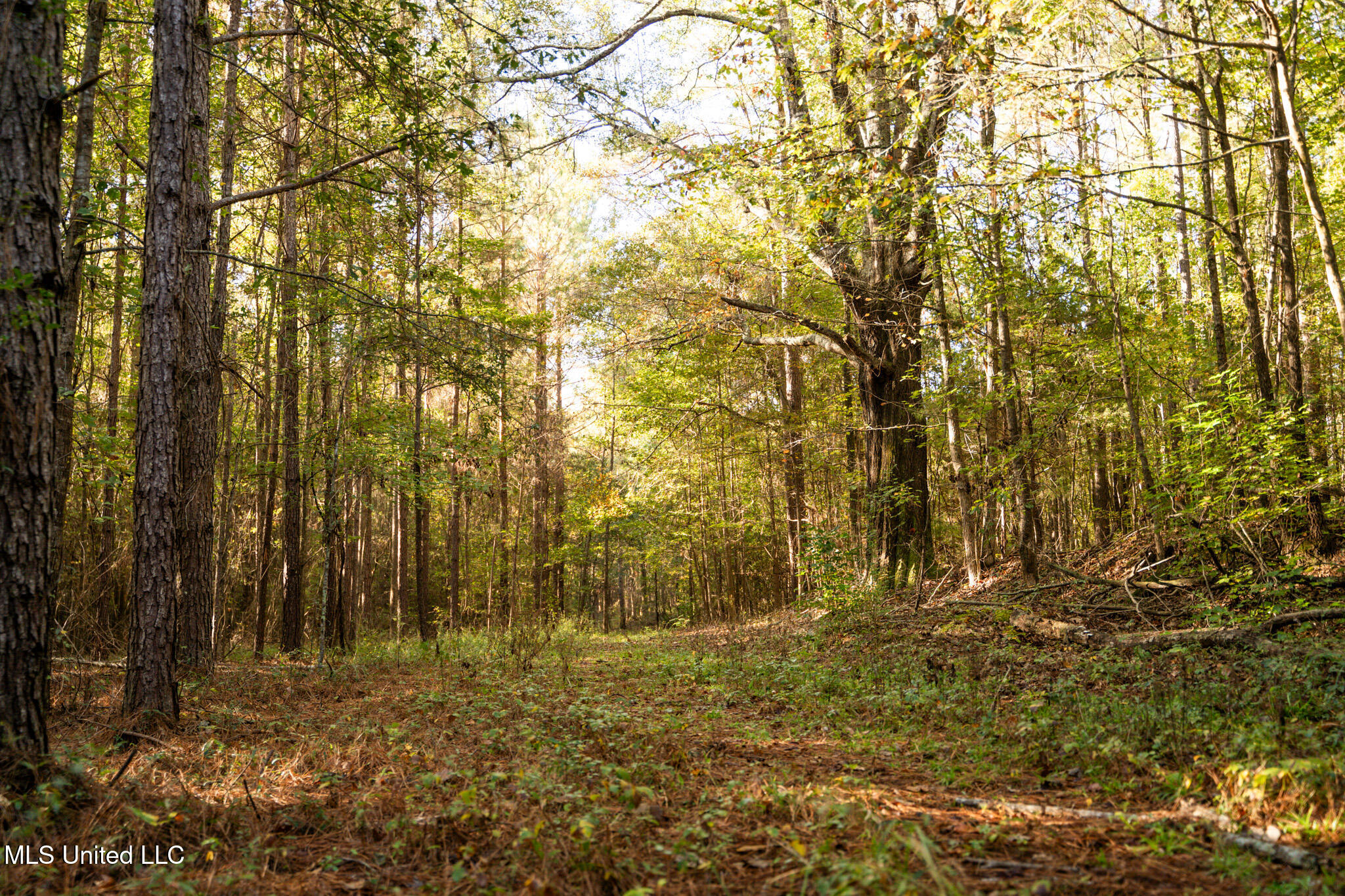 Lake View Golf Course Road Property Photo 10