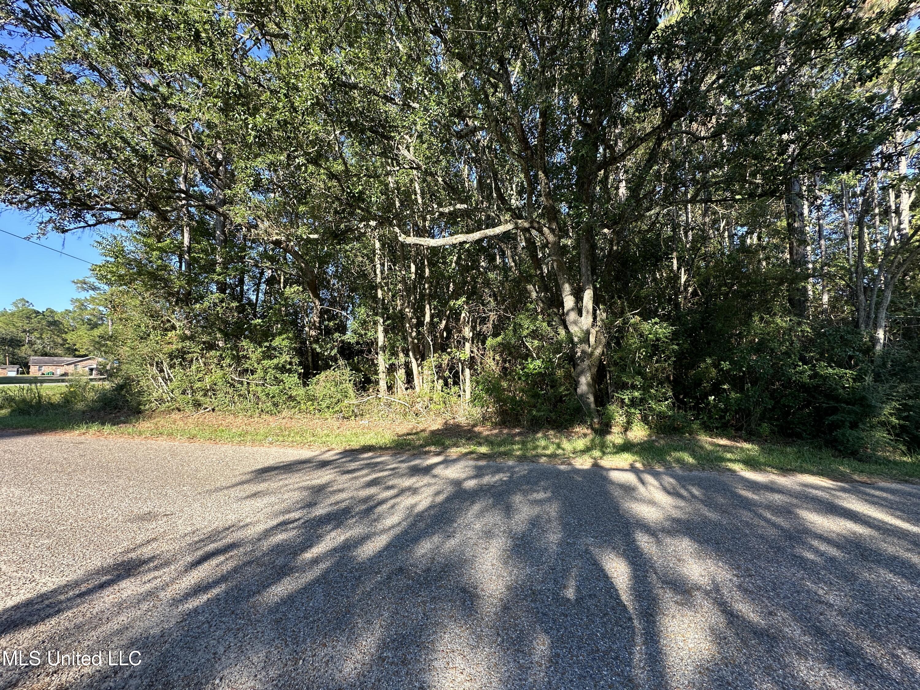Hwy 90 Property Photo 4