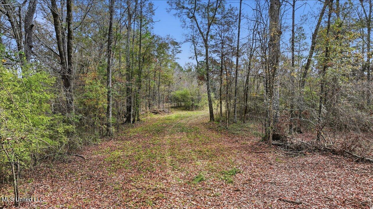 Highland Drive Drive Property Photo 3