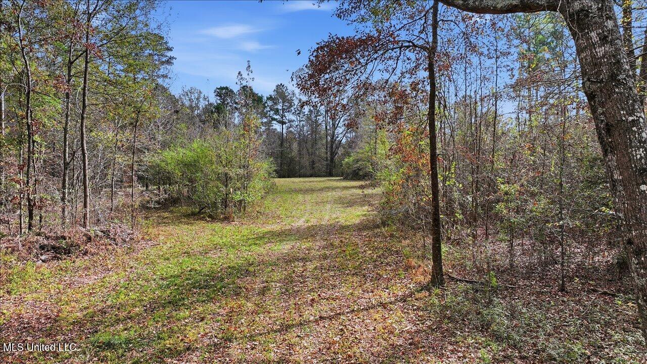 Highland Drive Drive Property Photo 4
