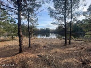 1043 Hwy 24 W Property Photo 1