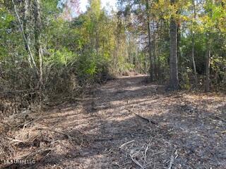 1043 Hwy 24 W Property Photo 2