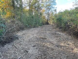 1043 Hwy 24 W Property Photo 3
