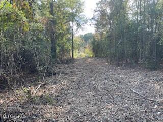 1043 Hwy 24 W Property Photo 4