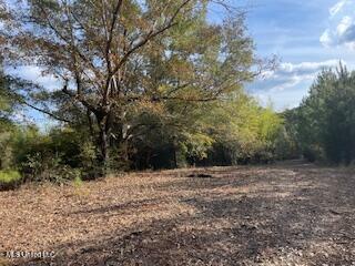 1043 Hwy 24 W Property Photo 5