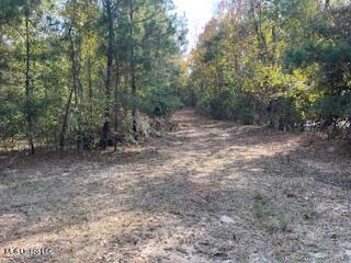 1043 Hwy 24 W Property Photo 6