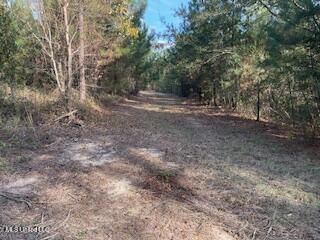 1043 Hwy 24 W Property Photo 7