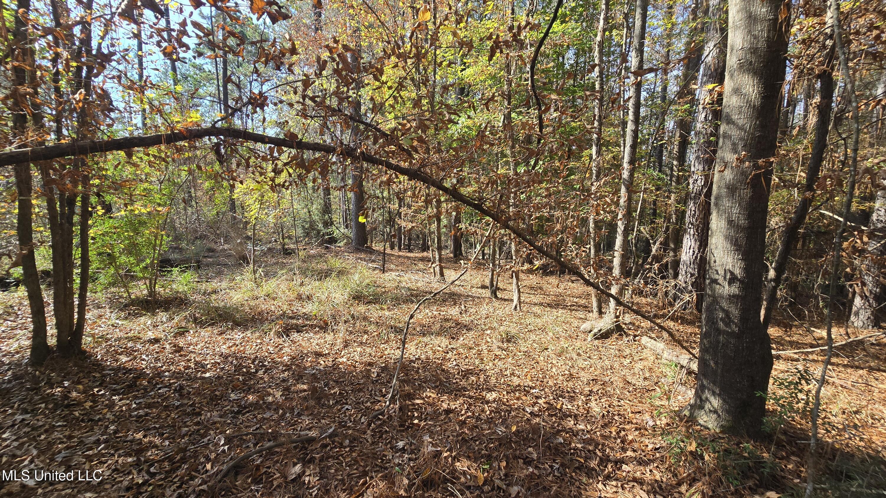 00 Nelson Corner Road Property Photo 36