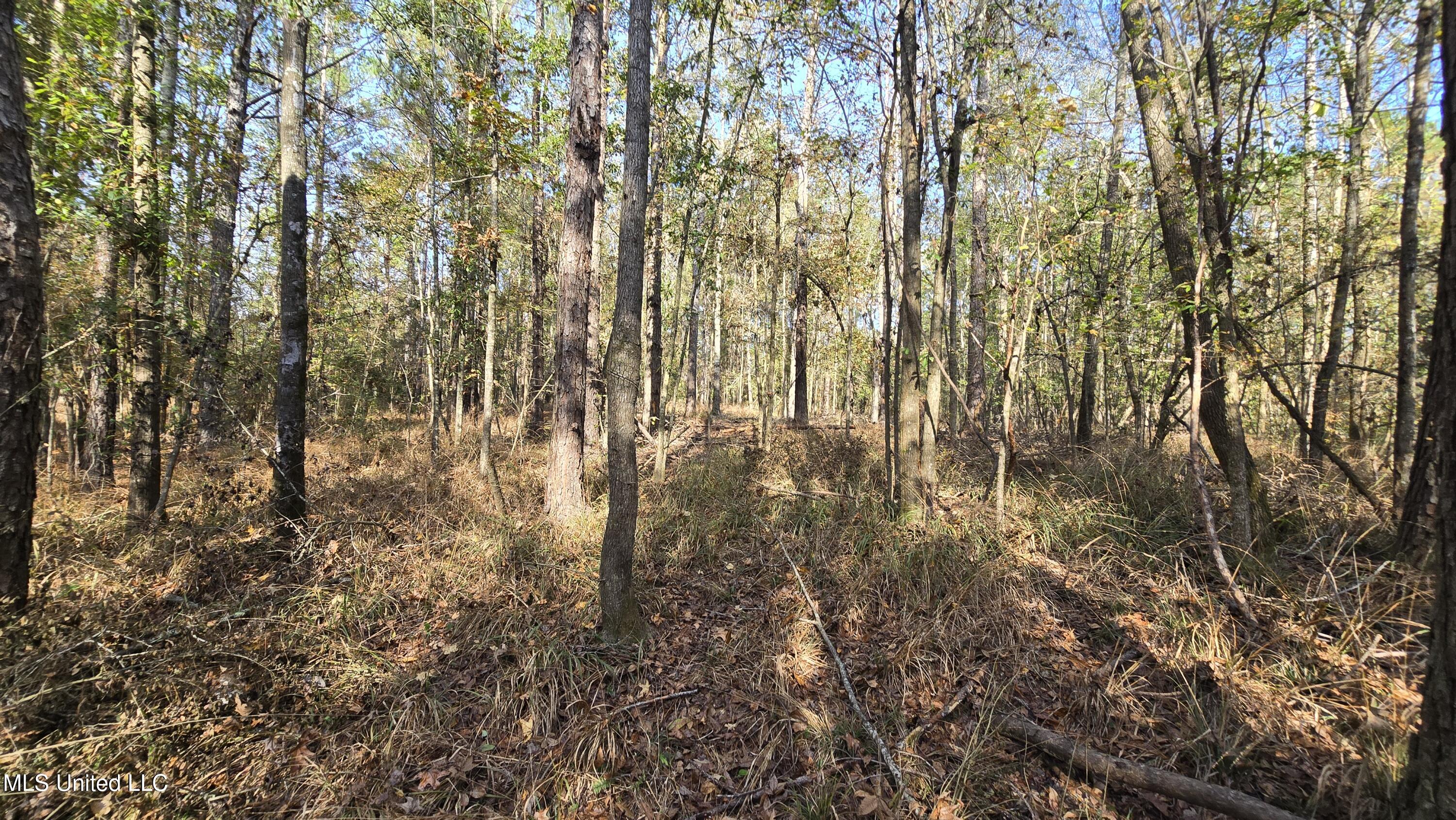 00 Nelson Corner Road Property Photo 39