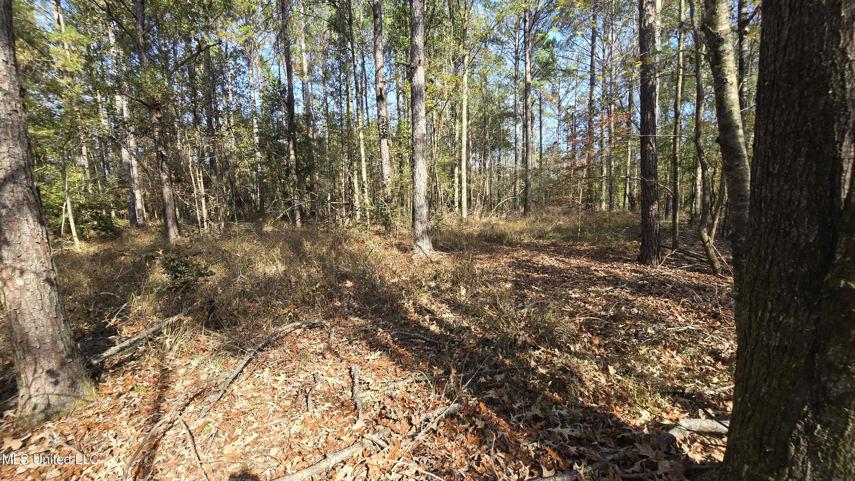 00 Nelson Corner Road Property Photo 42