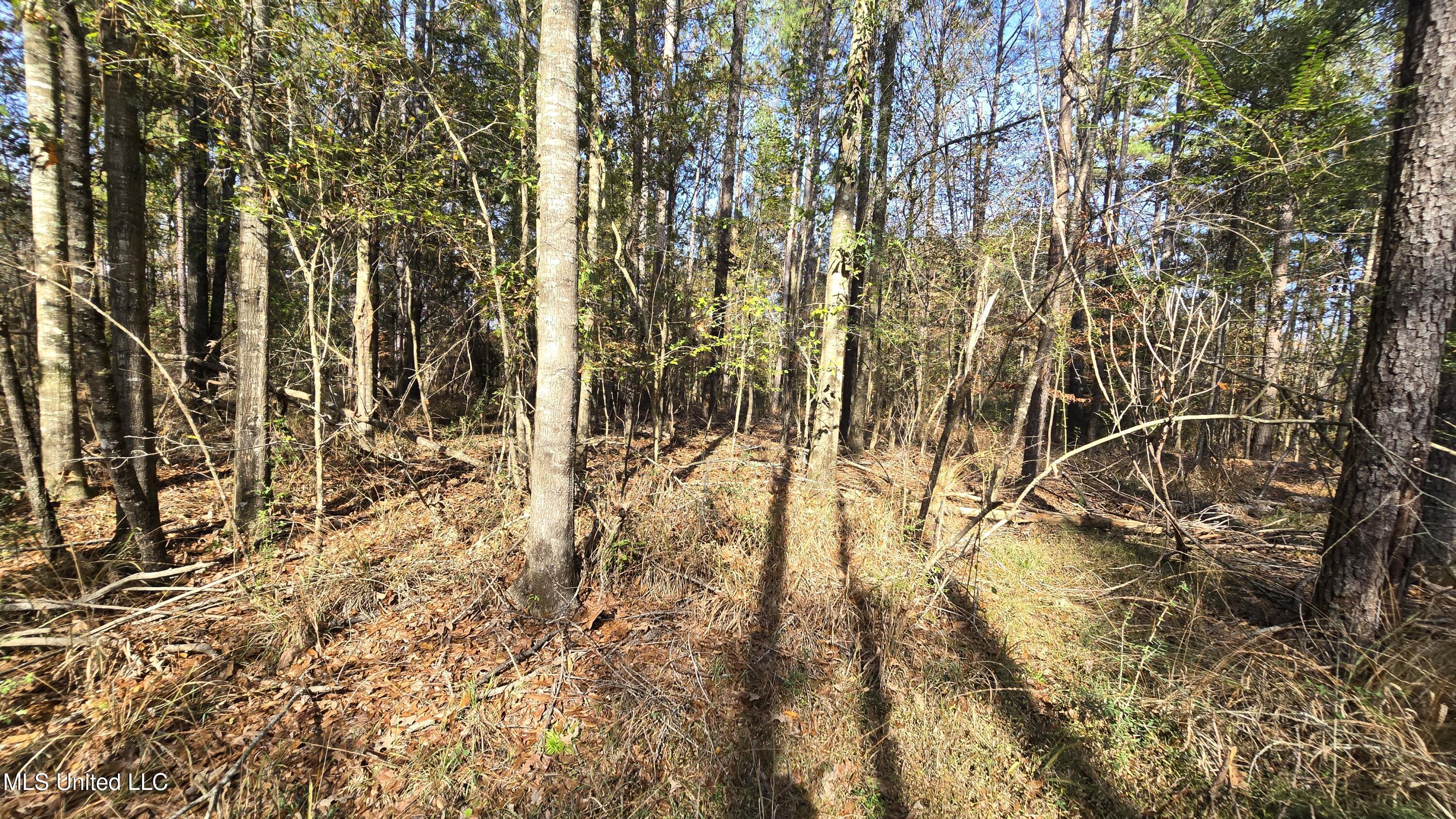 00 Nelson Corner Road Property Photo 43